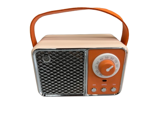 HM11 Pro Portable FM Radio TF Card Player Wireless Speaker