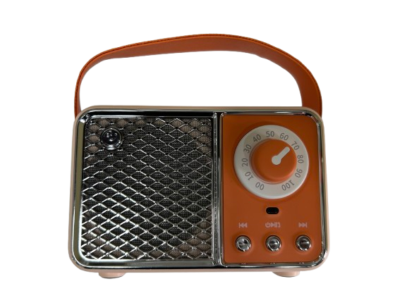 HM11 Pro Portable FM Radio TF Card Player Wireless Speaker