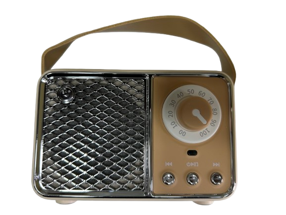 HM11 Pro Portable FM Radio TF Card Player Wireless Speaker