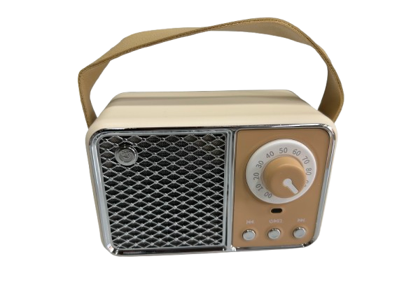 HM11 Pro Portable FM Radio TF Card Player Wireless Speaker